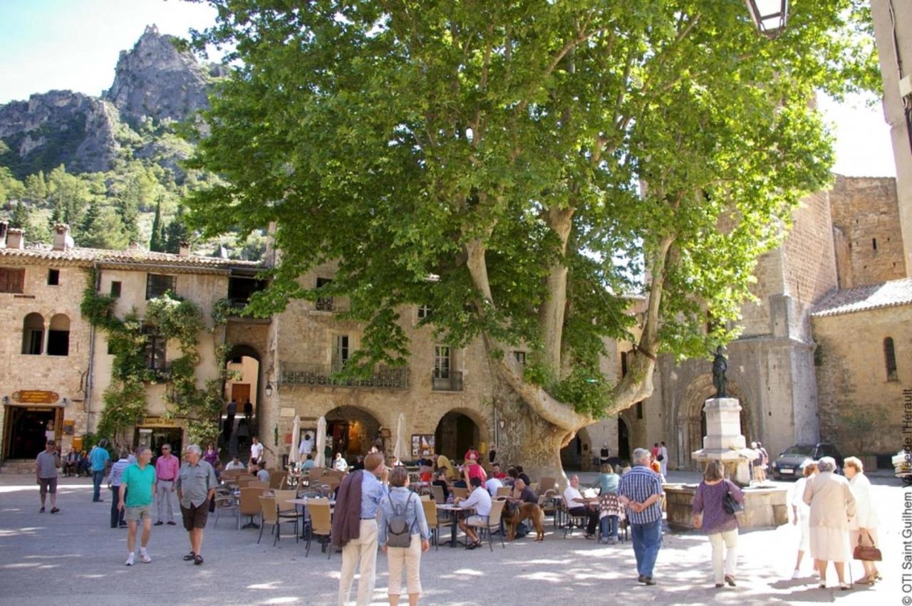 "Le Patio"-Meuble De Tourisme 3 Etoiles -Residence "Les Logis De Beziers"-Garage Optionnel-Coeur De Ville-Plages A 16Km ! מראה חיצוני תמונה