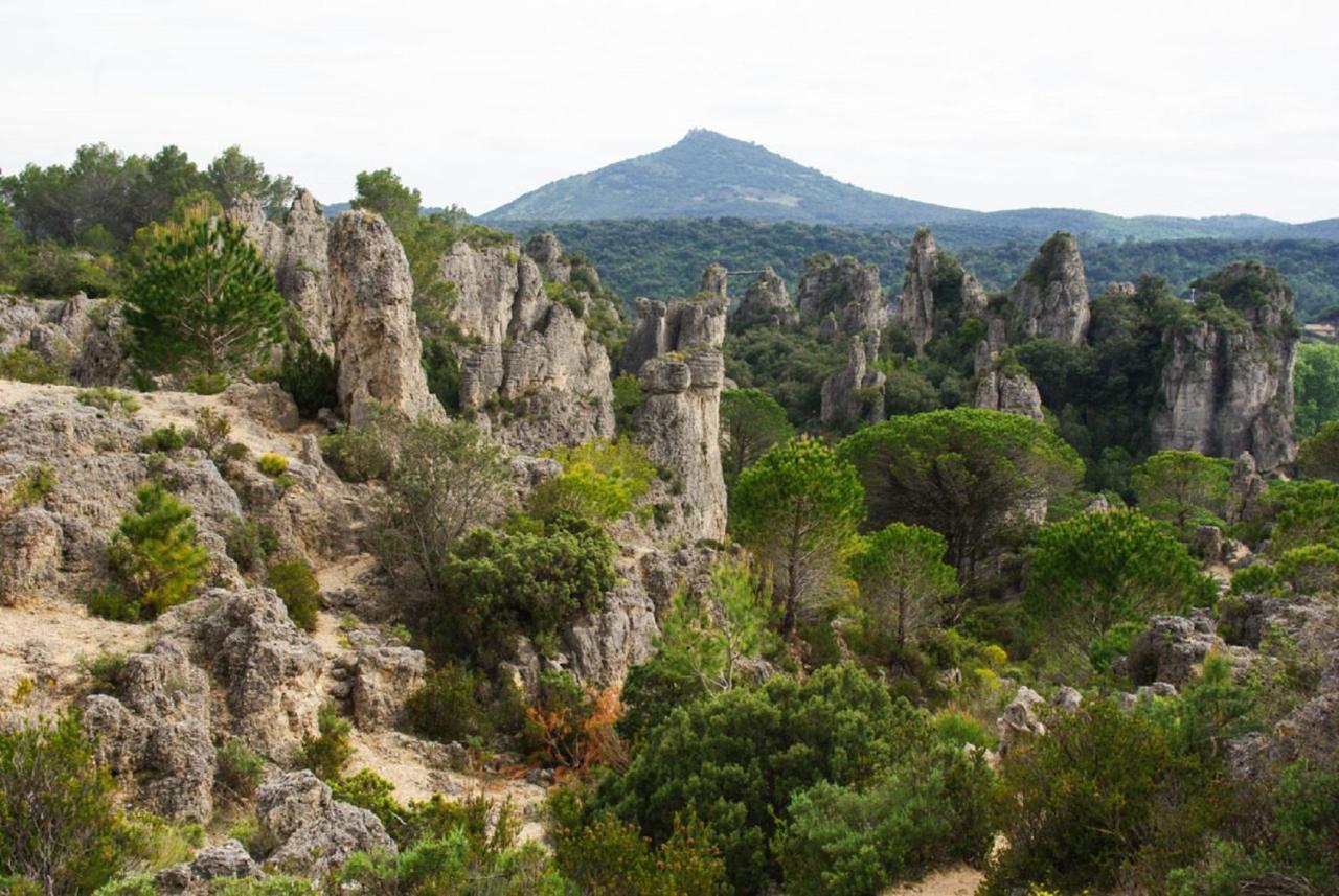 "Le Patio"-Meuble De Tourisme 3 Etoiles -Residence "Les Logis De Beziers"-Garage Optionnel-Coeur De Ville-Plages A 16Km ! מראה חיצוני תמונה